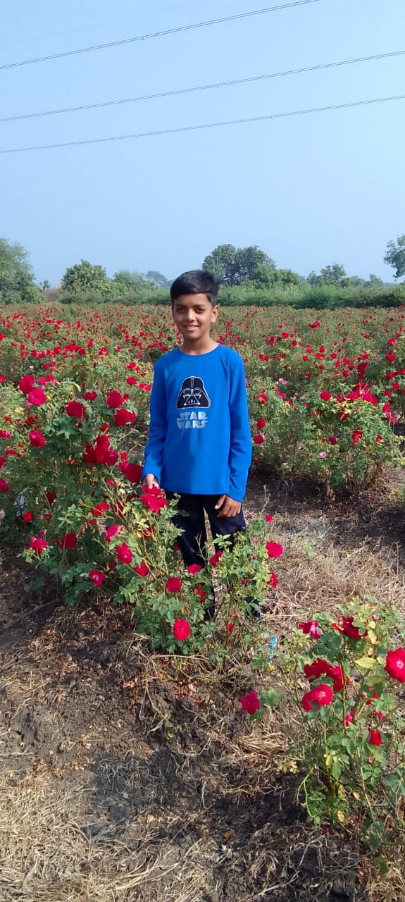 ROSE FARMER AVAKHAL